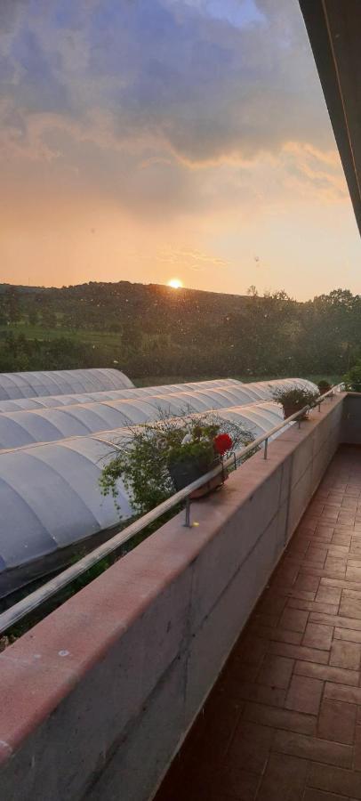 Casa Vacanze Cerreto 3 Miglianico ภายนอก รูปภาพ