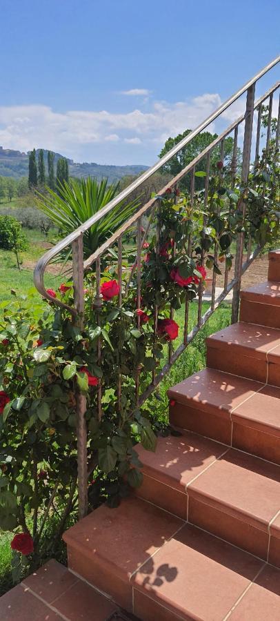 Casa Vacanze Cerreto 3 Miglianico ภายนอก รูปภาพ